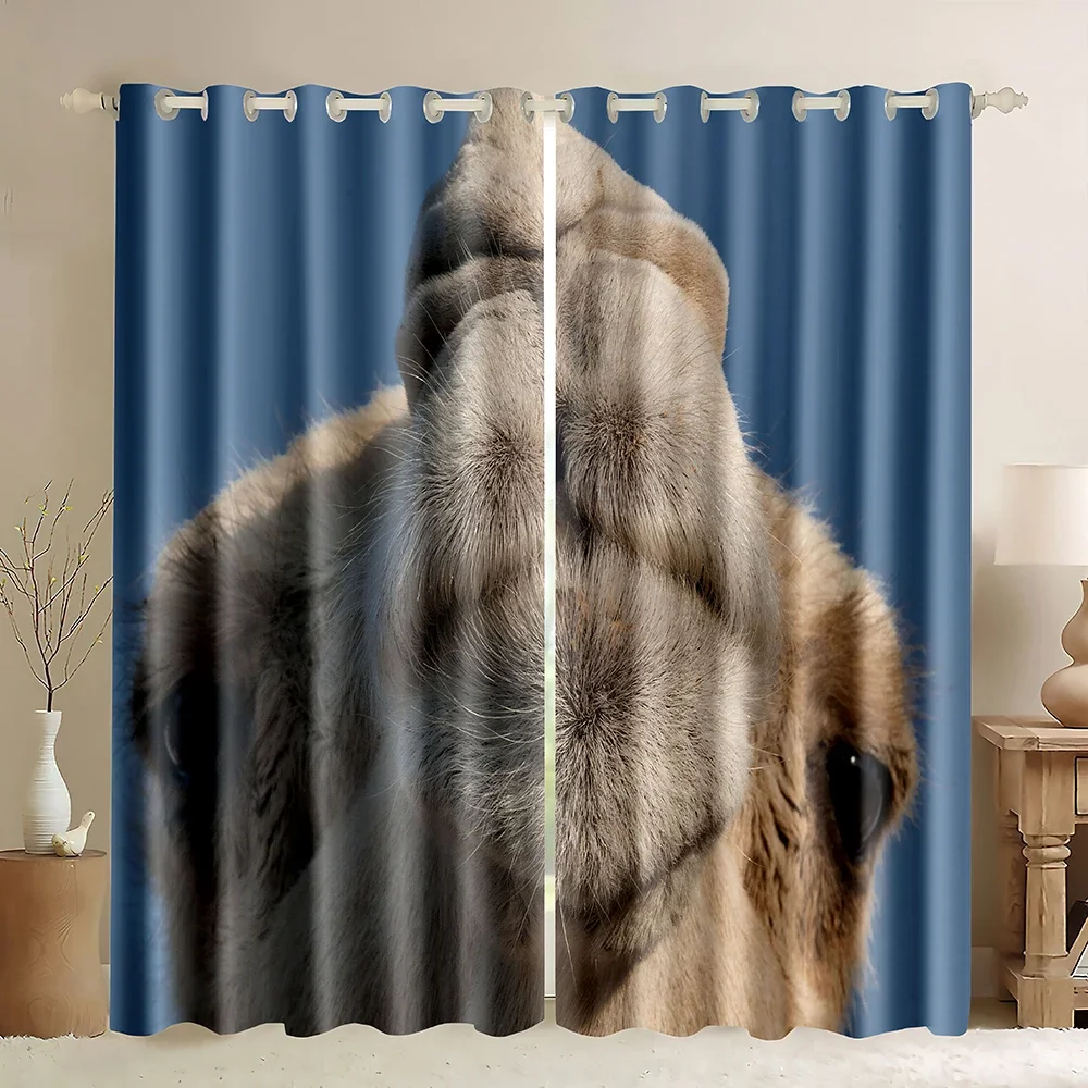 Camel Window Curtains,3D Afric - 3D Printing Cafe ulasan dan harga